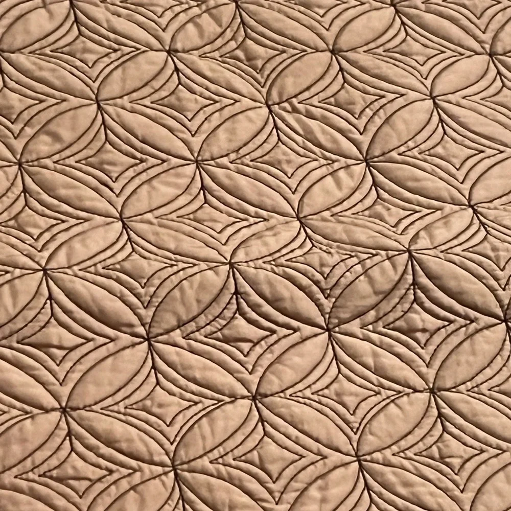 Restoration Hardware 100% Silk pillow sham